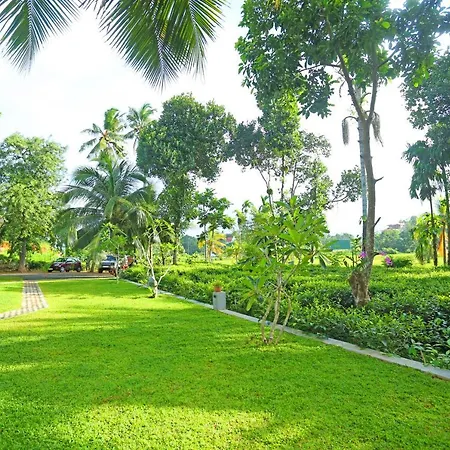 Villa Peacock-3