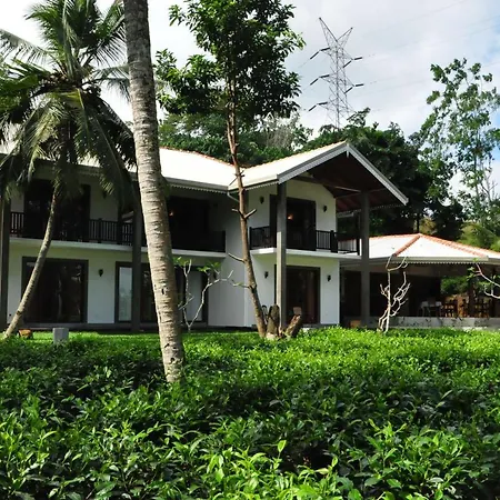 Villa Peacock-2